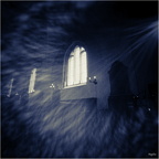 Image (7)-Edit