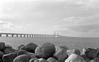 20221012-DSC00973-WEB