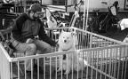 img20230507 10570355 000001-Edit